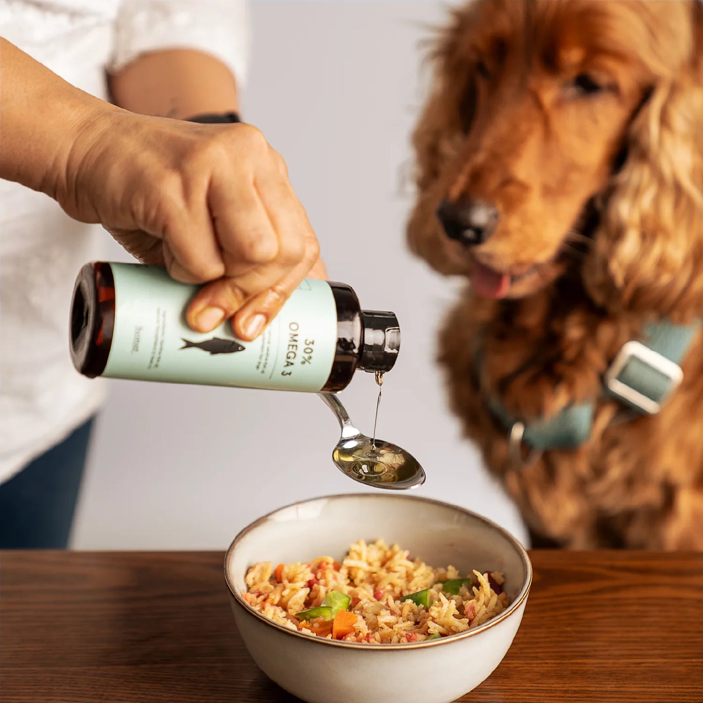 30% Omega 3 Sardine Fish Oil for Dogs, Honst