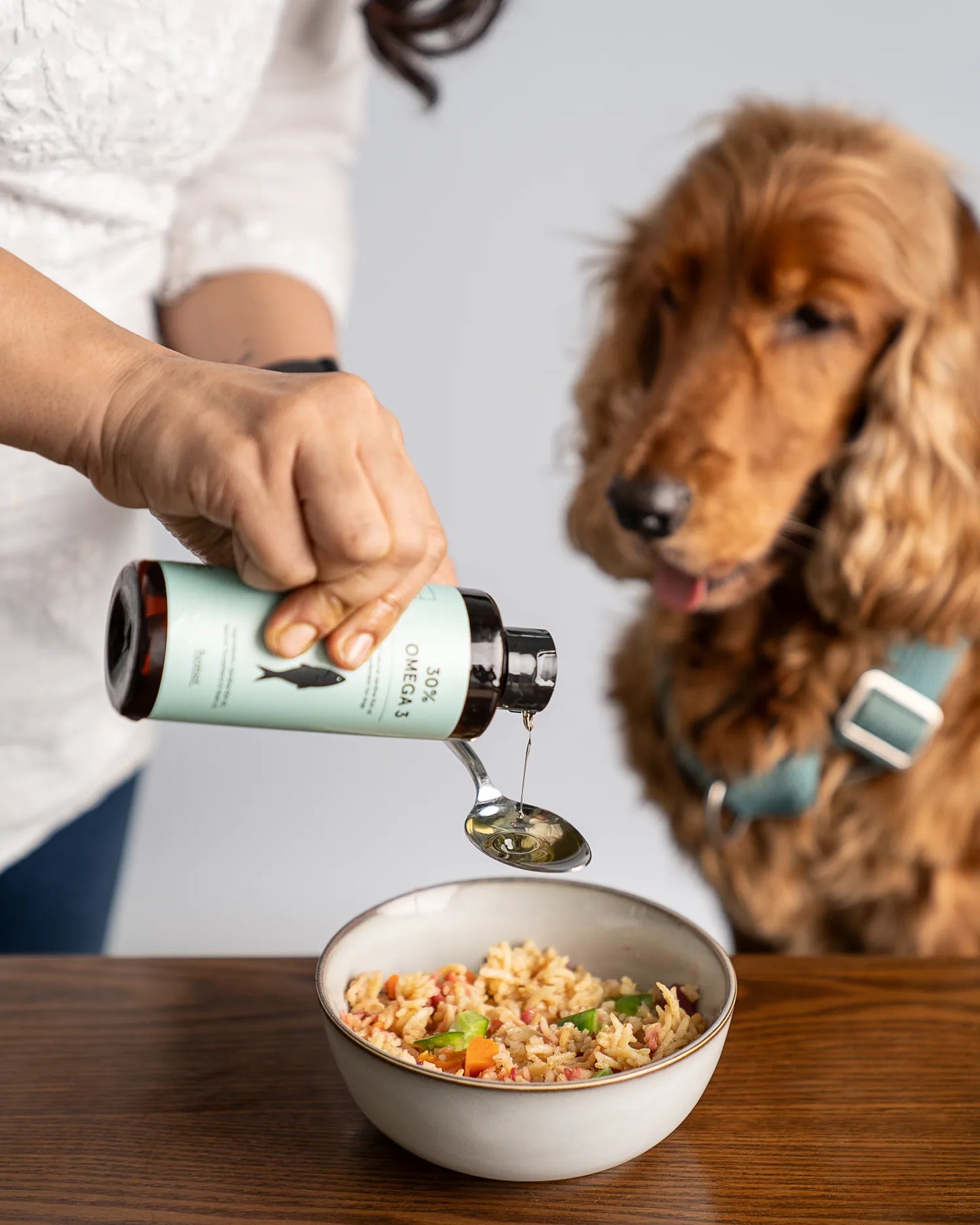 30% Omega 3 Sardine Fish Oil for Dogs, Honst
