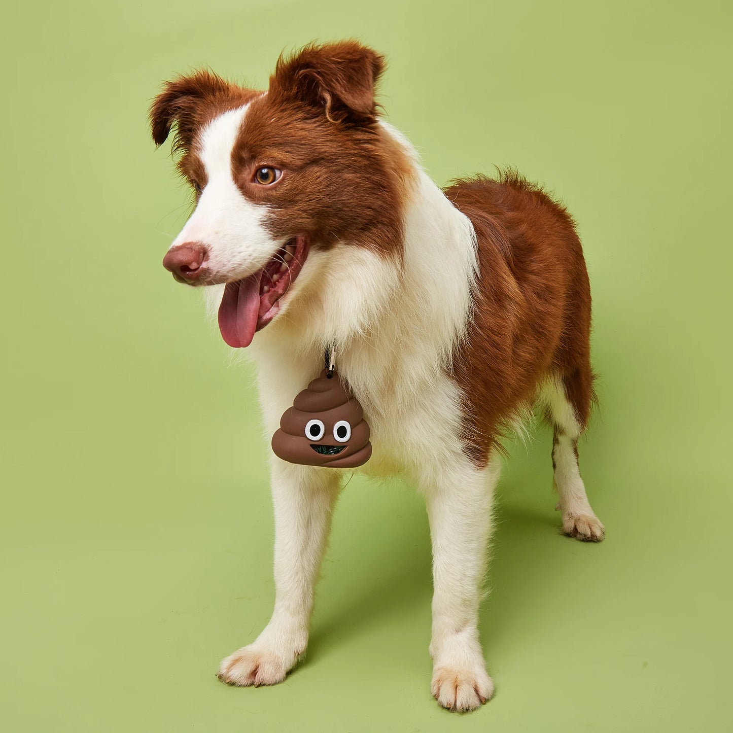 Dog Poop Bag Dispenser & Poop Bags, FOFOS