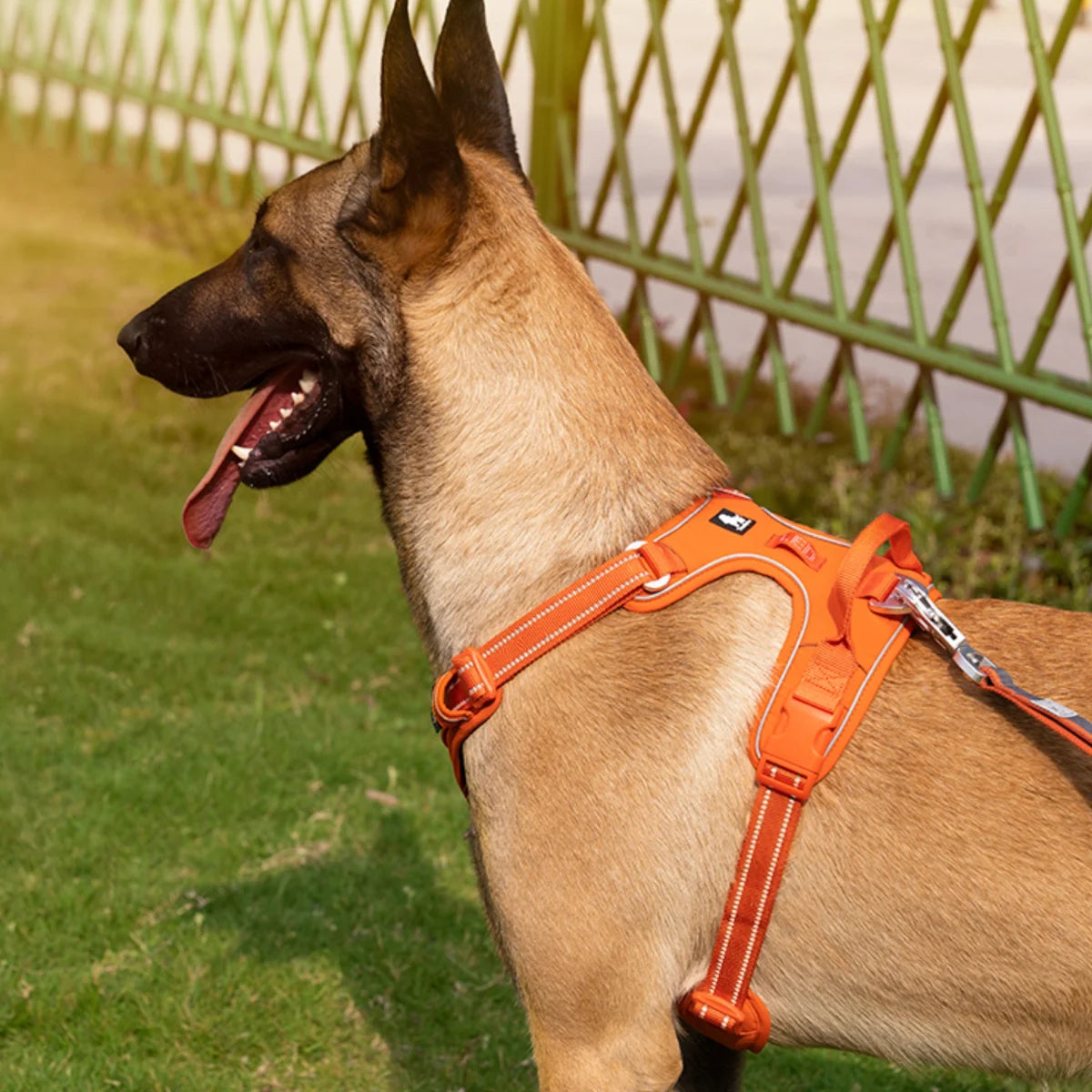 No Pull Dog Harness - Purple, Truelove