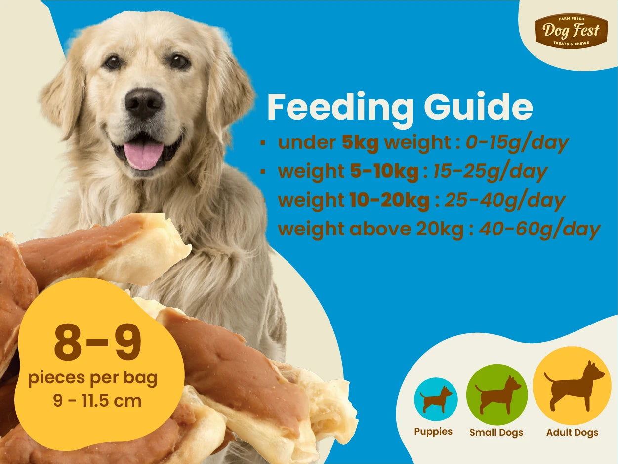 Rabbit Ears with Chicken, Dog Fest