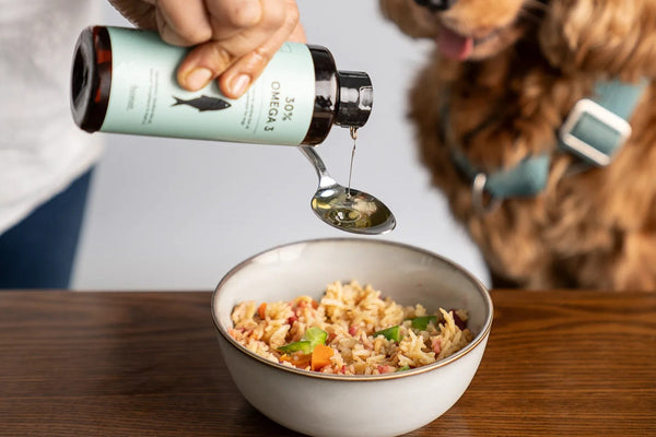 Omega 3-6-9 Fats: Which Ones Does Your Dog Really Need?
