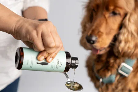 Fish Oil Dosage Chart for Dogs: How Much Omega-3 Should I Feed My Dog?