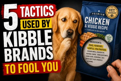 How to Read Dog Food Labels & 5 Common Tricks to Beware of!