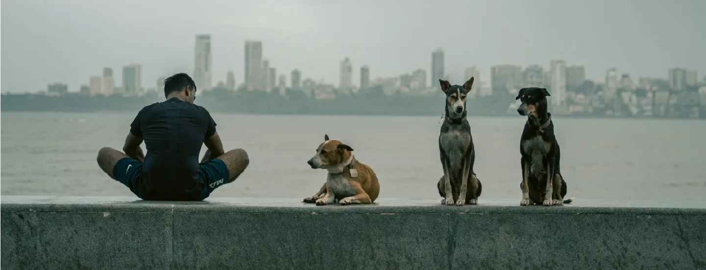 Community Dog Care