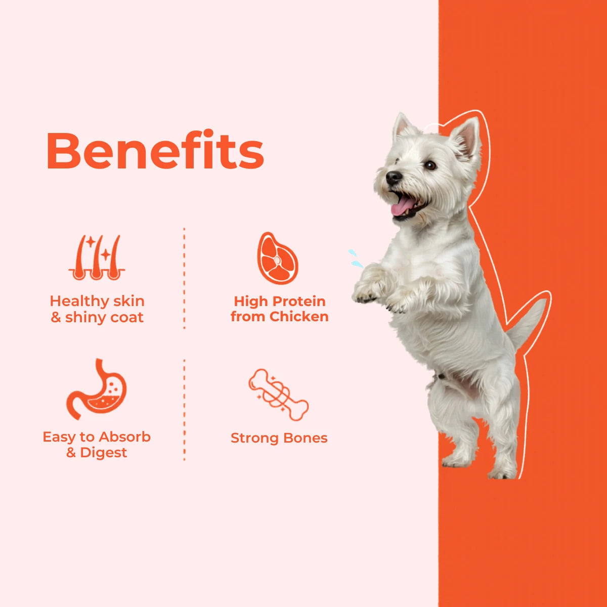Dog standing on its hind legs with benefits listed on a white and orange background