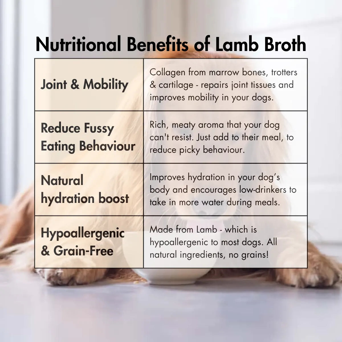Lamb Bone Broth for Dogs, Canine Craving (150ml)