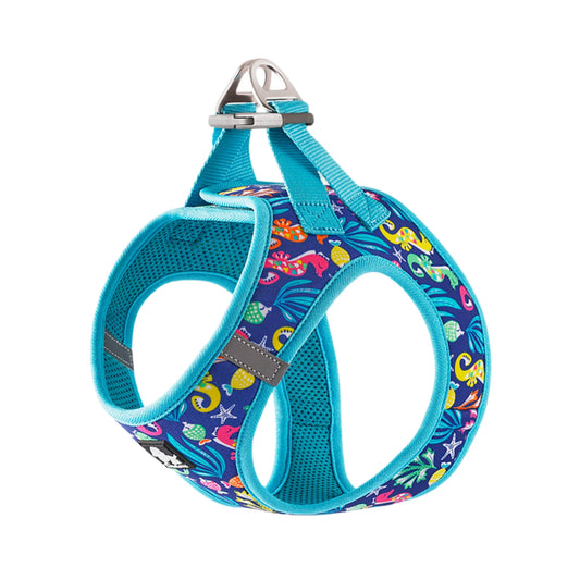 Step In Harness for Small Dogs - Blue Atoll, Truelove