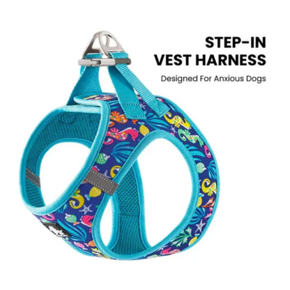 Step In Harness for Small Dogs - Blue Atoll, Truelove