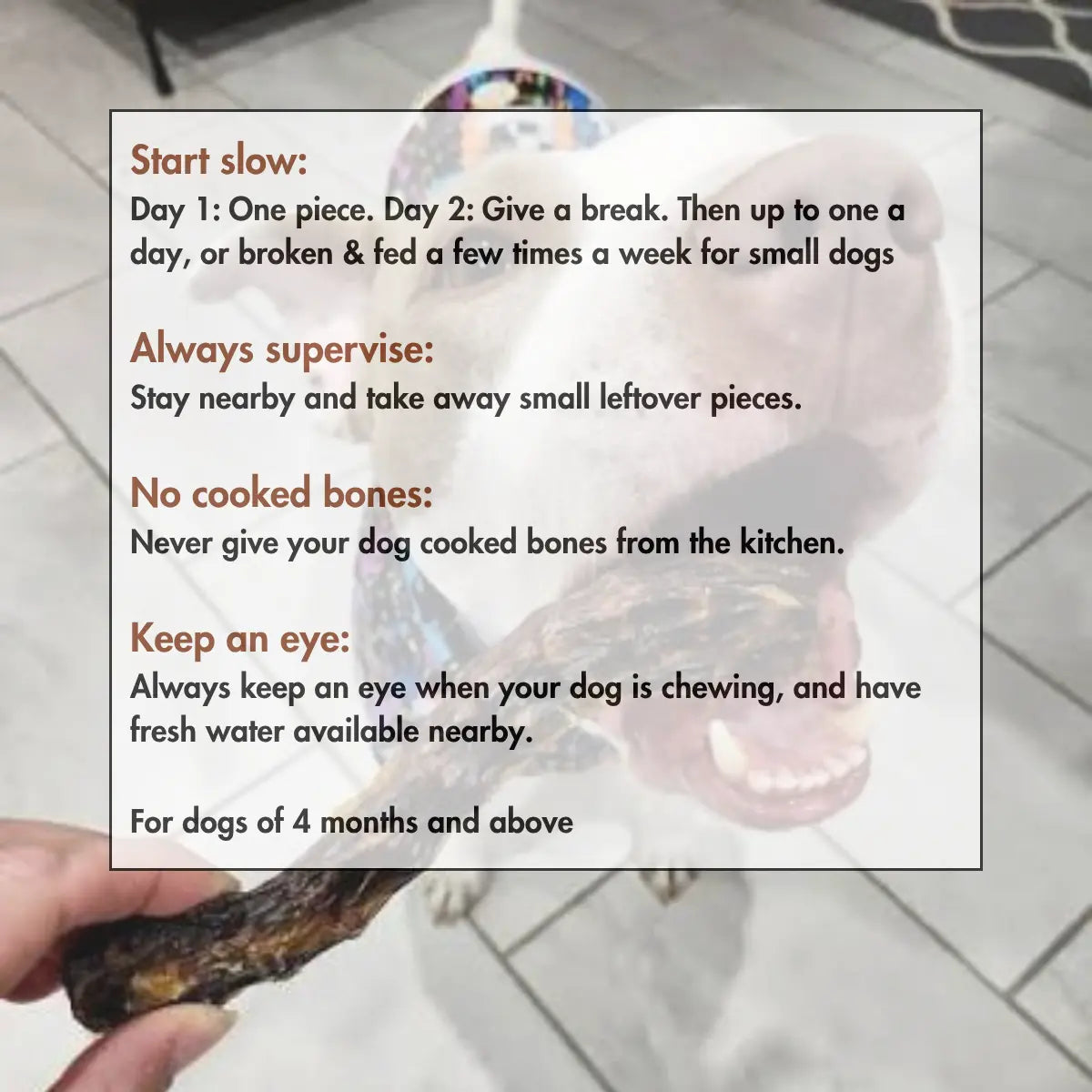 How to give Canine Craving dehydrated duck neck to your dog