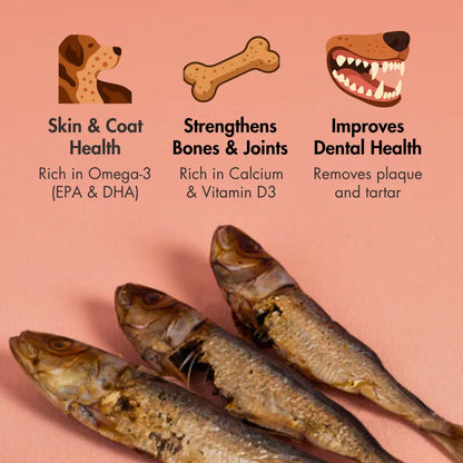 Dehydrated Sardines for Dogs, 70 gm