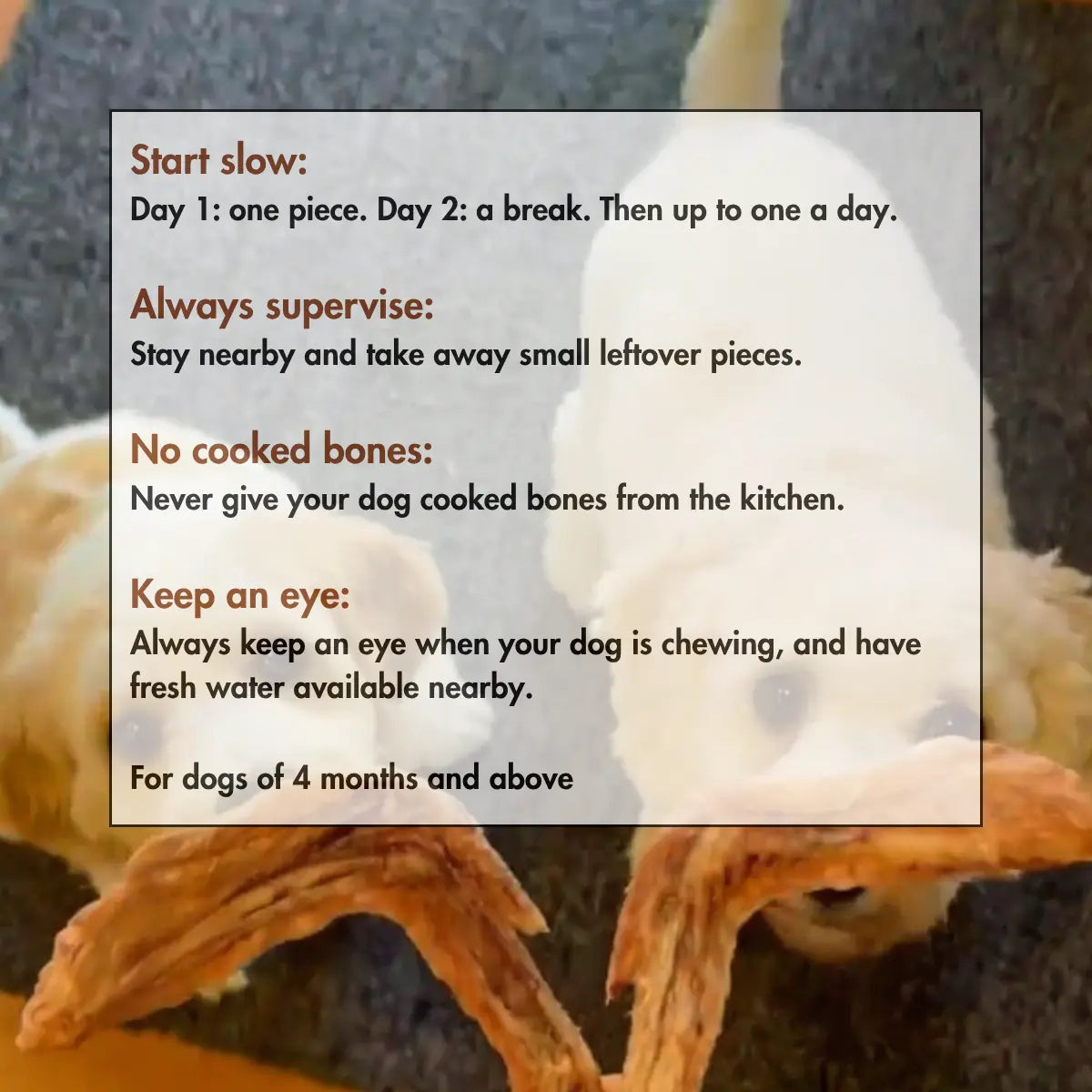 How to give Canine Craving dehydrated duck wings to your dog