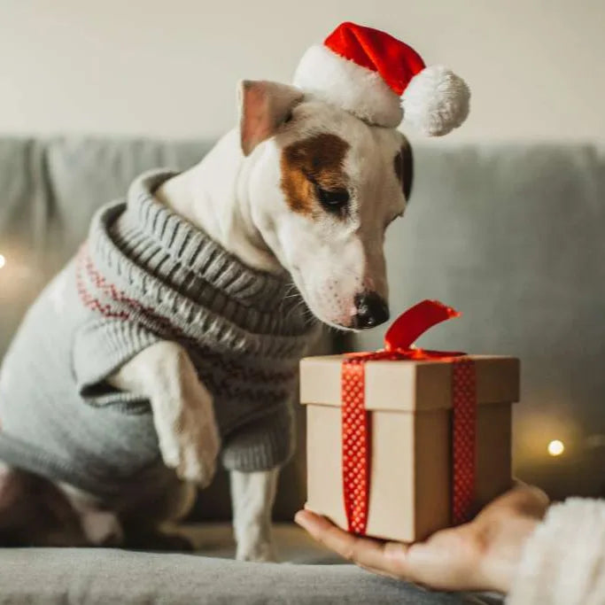 Giveaway Goodies from the Pack Store