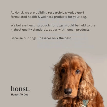 Honst 30% Omega 3 Sardine Fish Oil for Dogs, Pack of 2