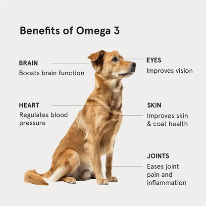 Honst 30% Omega 3 Sardine Fish Oil for Dogs, Pack of 2