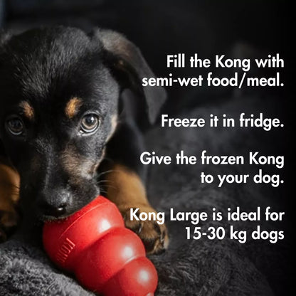 Kong Classic (LARGE) Enrichment Toy