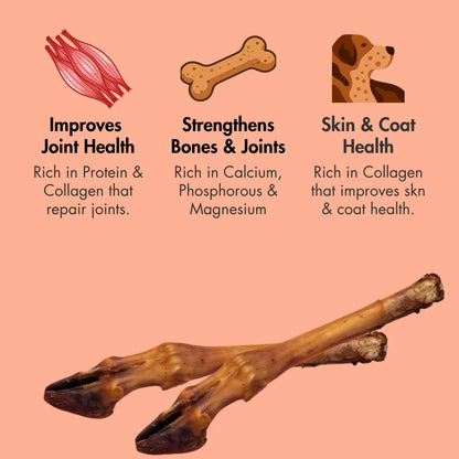 Dehydrated Lamb Trotter for Dogs, 70 g