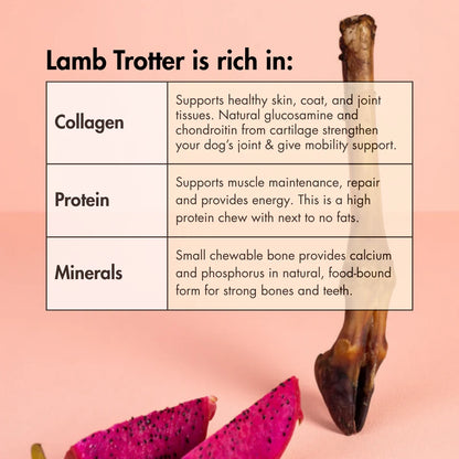 Dehydrated Lamb Trotter for Dogs, 70 g