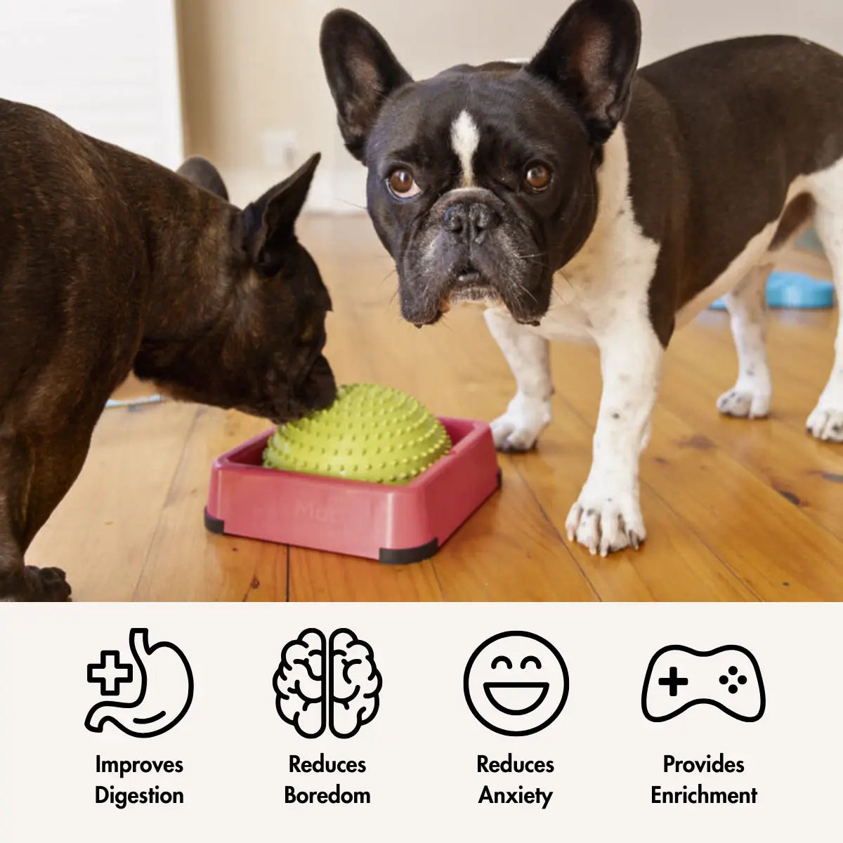 LickiMat Wobble benefits — Aids Digestion, Reduces Boredom, Provides Enrichment