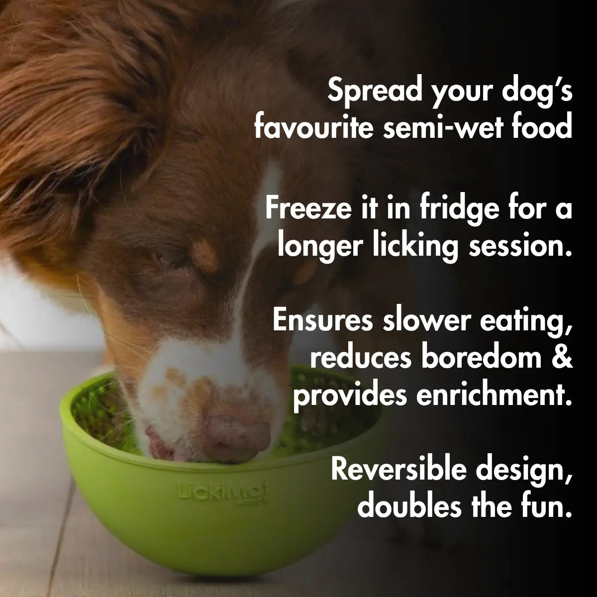 Dog licking LickiMat Wobble enrichment bowl — slow feeder for anxiety relief