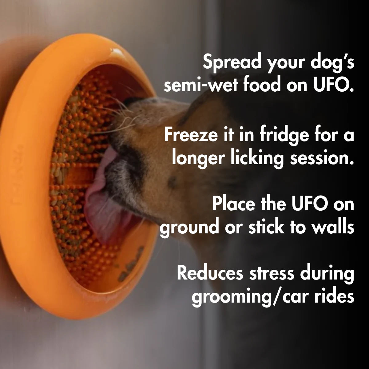 LickiMat UFO, Slow Feeder Bowl for Dogs