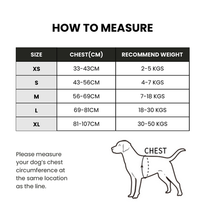 No Pull Dog Harness - Purple, Truelove