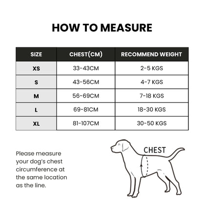 No Pull Dog Harness - Orange, Truelove