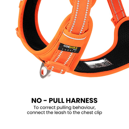 No Pull Dog Harness - Purple, Truelove