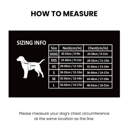 Step In Harness for Small Dogs - Blue Atoll, Truelove