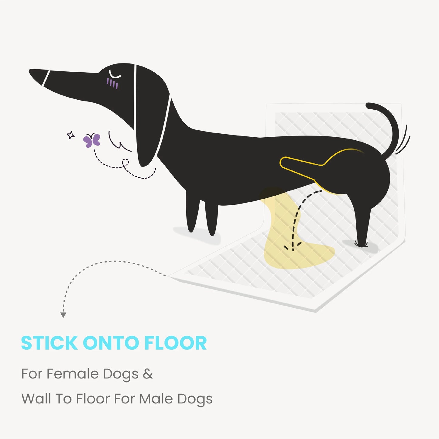 Training Pads for dogs (S) - 45x60 cm, FOFOS