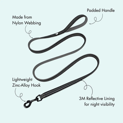 Padded Dog Leash - Black, Truelove