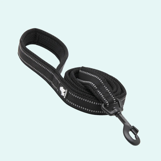 Padded Dog Leash - Black, Truelove