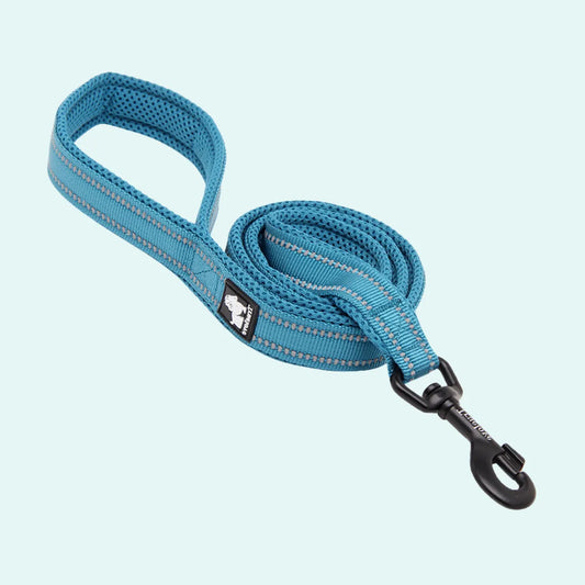 Padded Dog Leash - Blue, Truelove