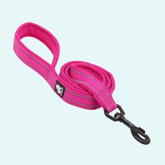 Padded Dog Leash - Fuschia, Truelove