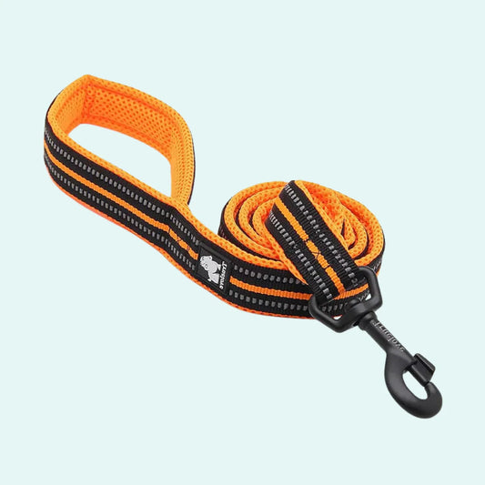 Padded Dog Leash - Orange, Truelove