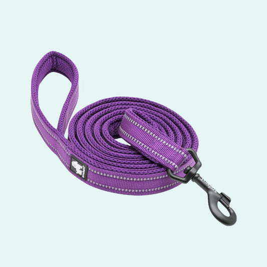 Padded Dog Leash - Purple, Truelove