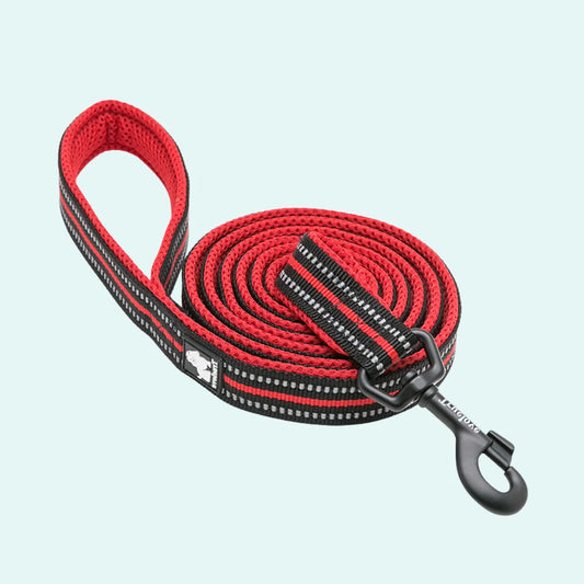 Padded Dog Leash - Red, Truelove