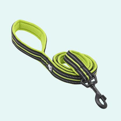 Padded Dog Leash - Yellow, Truelove