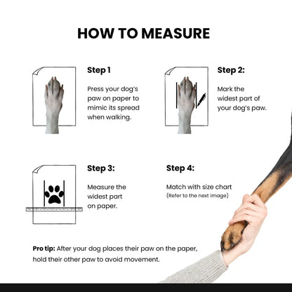 Instructions on how to measure a dog's paw with images and text.