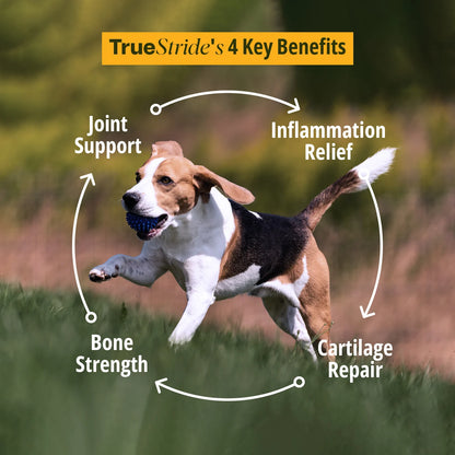 TrueStride Joint Supplement For Dogs 200g