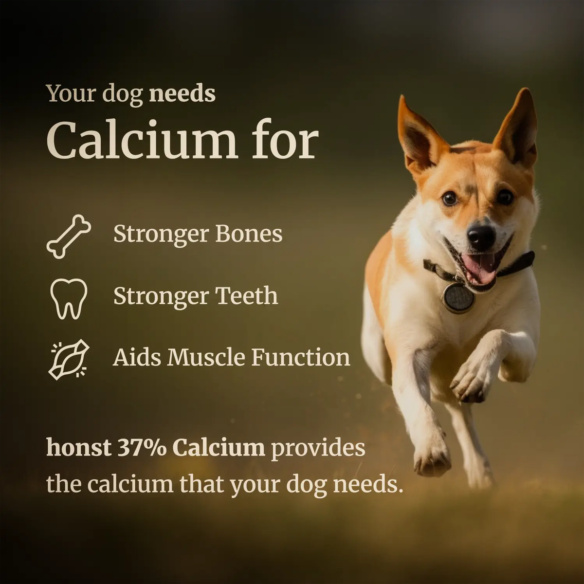 37% Calcium Eggshell Powder for Dogs, Honst