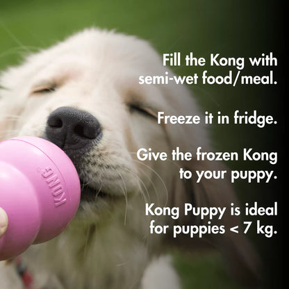 Kong Classic (PUPPY) Games for Puppy