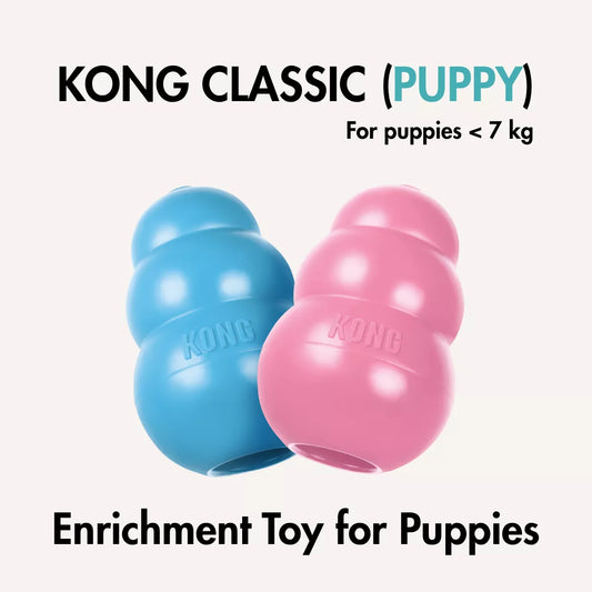 Kong Classic (PUPPY) Games for Puppy