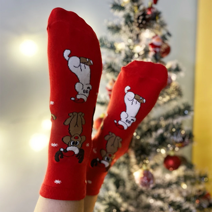 Christmas Red - Dog Themed Socks, Ankle Length